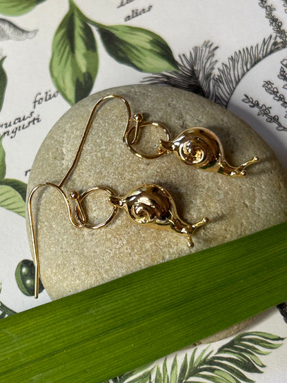 Steady Earrings