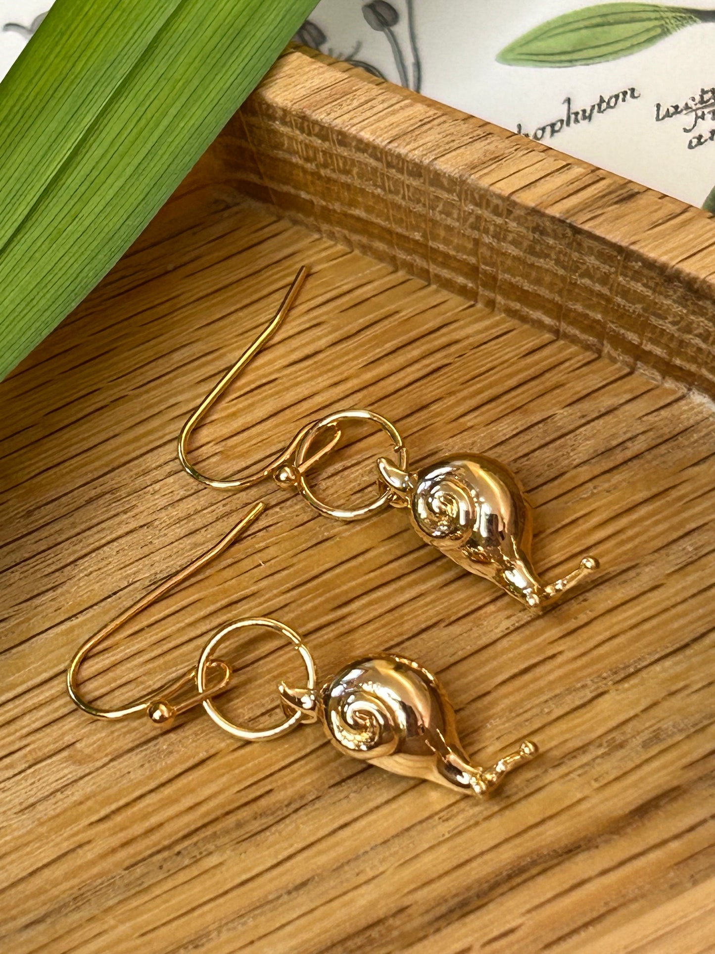 Steady Earrings